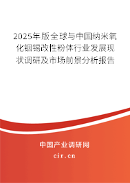 2025年版全球與中國納米氧化銦錫改性粉體行業(yè)發(fā)展現(xiàn)狀調(diào)研及市場前景分析報告