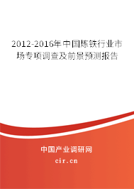 2012-2016年中國煉鐵行業(yè)市場專項調(diào)查及前景預(yù)測報告