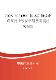 2025-2031年中國術后持續(xù)止痛泵行業(yè)現(xiàn)狀調(diào)研及發(fā)展趨勢報告