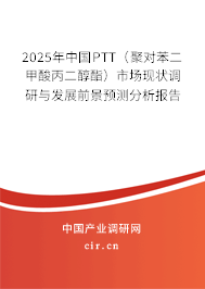 2025年中國PTT（聚對苯二甲酸丙二醇酯）市場現(xiàn)狀調(diào)研與發(fā)展前景預測分析報告