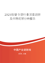 2025版夏令營行業(yè)深度調研及市場前景分析報告