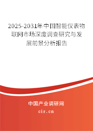 2025-2031年中國(guó)智能儀表物聯(lián)網(wǎng)市場(chǎng)深度調(diào)查研究與發(fā)展前景分析報(bào)告