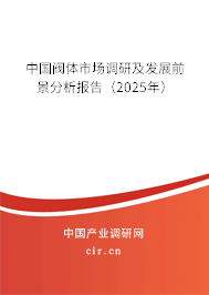 中國閥體市場調(diào)研及發(fā)展前景分析報告（2025年）