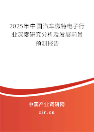 2025年中國汽車微特電子行業(yè)深度研究分析及發(fā)展前景預測報告