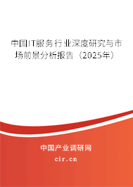 中國IT服務(wù)行業(yè)深度研究與市場前景分析報告（2025年）