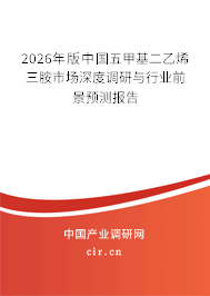 2026年版中國五甲基二乙烯三胺市場深度調(diào)研與行業(yè)前景預(yù)測報告 2026年版中國五甲基二乙烯三胺市場深度調(diào)研與行業(yè)前景預(yù)測報告