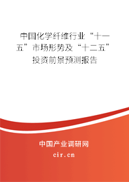 中國化學(xué)纖維行業(yè)“十一五”市場形勢及“十二五”投資前景預(yù)測報(bào)告
