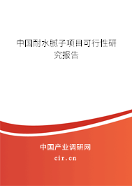 中國(guó)耐水膩?zhàn)禹?xiàng)目可行性研究報(bào)告 中國(guó)耐水膩?zhàn)禹?xiàng)目可行性研究報(bào)告