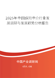 2025年中國保險中介行業(yè)發(fā)展調(diào)研與發(fā)展趨勢分析報告
