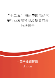 “十二五”期間中國(guó)電動(dòng)汽車行業(yè)發(fā)展預(yù)測(cè)及投資前景分析報(bào)告 “十二五”期間中國(guó)電動(dòng)汽車行業(yè)發(fā)展預(yù)測(cè)及投資前景分析報(bào)告