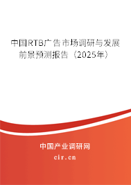 中國RTB廣告市場調(diào)研與發(fā)展前景預(yù)測報(bào)告（2025年）