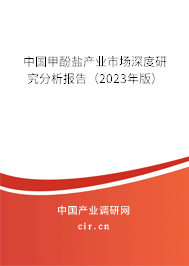 中國甲酚鹽產(chǎn)業(yè)市場深度研究分析報告（2023年版）