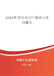 2010年湖北電力行業(yè)統(tǒng)計咨詢報告 2010年湖北電力行業(yè)統(tǒng)計咨詢報告
