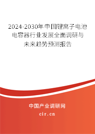 2024-2030年中國鋰離子電池電容器行業(yè)發(fā)展全面調(diào)研與未來趨勢預(yù)測報告