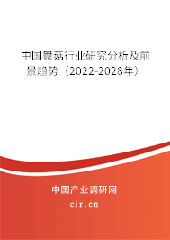 中國舞菇行業(yè)研究分析及前景趨勢(shì)(2022-2028年) 中國舞菇行業(yè)研究分析及前景趨勢(shì)(2022-2028年)