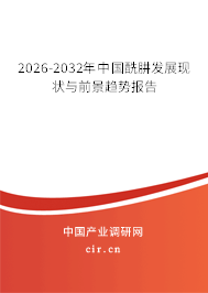 2026-2032年中國酰肼發(fā)展現(xiàn)狀與前景趨勢報(bào)告