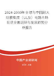 2024-2030年全球與中國超大規(guī)模集成（ULSI）電路市場現狀全面調研與發(fā)展趨勢分析報告