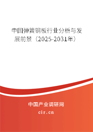 中國(guó)彈簧鋼板行業(yè)分析與發(fā)展前景(2025-2031年) 中國(guó)彈簧鋼板行業(yè)分析與發(fā)展前景(2025-2031年)