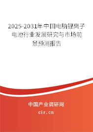 2025-2031年中國電腦鋰離子電池行業(yè)發(fā)展研究與市場前景預(yù)測報告 2025-2031年中國電腦鋰離子電池行業(yè)發(fā)展研究與市場前景預(yù)測報告
