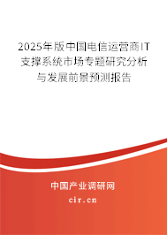 2025年版中國電信運(yùn)營商IT支撐系統(tǒng)市場專題研究分析與發(fā)展前景預(yù)測報(bào)告