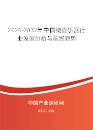 2026-2032年中國(guó)鍵盤樂(lè)器行業(yè)發(fā)展分析與前景趨勢(shì)