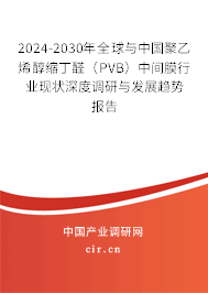 2024-2030年全球與中國(guó)聚乙烯醇縮丁醛(PVB)中間膜行業(yè)現(xiàn)狀深度調(diào)研與發(fā)展趨勢(shì)報(bào)告 2024-2030年全球與中國(guó)聚乙烯醇縮丁醛(PVB)中間膜行業(yè)現(xiàn)狀深度調(diào)研與發(fā)展趨勢(shì)報(bào)告