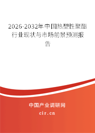 2026-2032年中國熱塑性聚酯行業(yè)現(xiàn)狀與市場前景預(yù)測報告 2026-2032年中國熱塑性聚酯行業(yè)現(xiàn)狀與市場前景預(yù)測報告