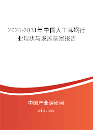 2025-2031年中國(guó)人工耳蝸行業(yè)現(xiàn)狀與發(fā)展前景報(bào)告