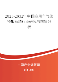 2025-2031年中國商用車氣象預(yù)報系統(tǒng)行業(yè)研究與前景分析