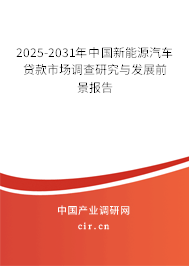 2025-2031年中國新能源汽車貸款市場調(diào)查研究與發(fā)展前景報告