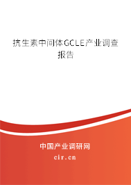 抗生素中間體GCLE產(chǎn)業(yè)調(diào)查報(bào)告 抗生素中間體GCLE產(chǎn)業(yè)調(diào)查報(bào)告