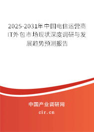 2025-2031年中國電信運營商IT外包市場現狀深度調研與發(fā)展趨勢預測報告 2025-2031年中國電信運營商IT外包市場現狀深度調研與發(fā)展趨勢預測報告