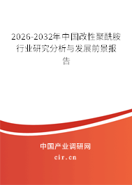2026-2032年中國改性聚酰胺行業(yè)研究分析與發(fā)展前景報告