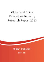 Global and China Pinacolone Industry Research Report 2013 Global and China Pinacolone Industry Research Report 2013