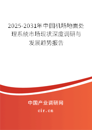 2025-2031年中國(guó)機(jī)場(chǎng)地面處理系統(tǒng)市場(chǎng)現(xiàn)狀深度調(diào)研與發(fā)展趨勢(shì)報(bào)告