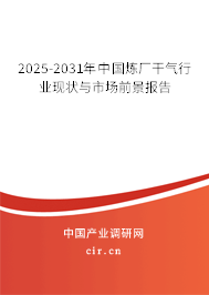 2025-2031年中國煉廠干氣行業(yè)現狀與市場前景報告