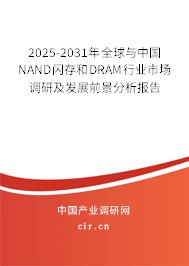 2025-2031年全球與中國NAND閃存和DRAM行業(yè)市場調(diào)研及發(fā)展前景分析報告