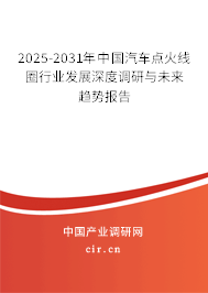 2025-2031年中國汽車點(diǎn)火線圈行業(yè)發(fā)展深度調(diào)研與未來趨勢(shì)報(bào)告