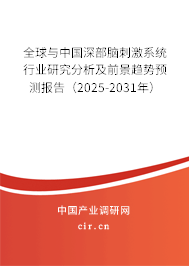 全球與中國(guó)深部腦刺激系統(tǒng)行業(yè)研究分析及前景趨勢(shì)預(yù)測(cè)報(bào)告（2025-2031年）