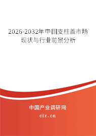 2026-2032年中國支柱蓋市場現(xiàn)狀與行業(yè)前景分析