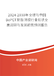 2024-2030年全球與中國BoPET聚酯薄膜行業(yè)現(xiàn)狀全面調(diào)研與發(fā)展趨勢預(yù)測報(bào)告