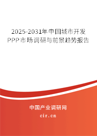 2025-2031年中國城市開發(fā)PPP市場調(diào)研與前景趨勢報告