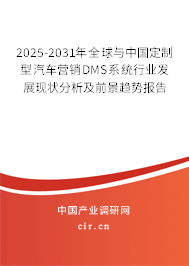 2025-2031年全球與中國定制型汽車營銷DMS系統(tǒng)行業(yè)發(fā)展現(xiàn)狀分析及前景趨勢報告 2025-2031年全球與中國定制型汽車營銷DMS系統(tǒng)行業(yè)發(fā)展現(xiàn)狀分析及前景趨勢報告