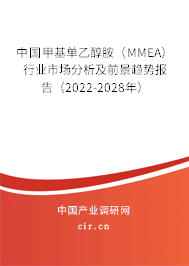 中國甲基單乙醇胺（MMEA）行業(yè)市場分析及前景趨勢報告（2022-2028年）