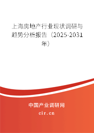 上海房地產(chǎn)行業(yè)現(xiàn)狀調(diào)研與趨勢分析報告（2025-2031年）