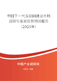 中國下一代互聯(lián)網(wǎng)建設(shè)市場調(diào)研與發(fā)展前景預(yù)測報(bào)告（2025年）
