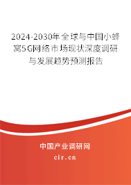 2024-2030年全球與中國小蜂窩5G網(wǎng)絡(luò)市場現(xiàn)狀深度調(diào)研與發(fā)展趨勢預(yù)測報告