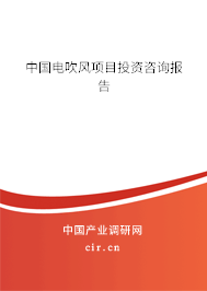 中國電吹風(fēng)項目投資咨詢報告