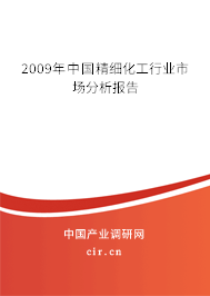 2009年中國(guó)精細(xì)化工行業(yè)市場(chǎng)分析報(bào)告 2009年中國(guó)精細(xì)化工行業(yè)市場(chǎng)分析報(bào)告
