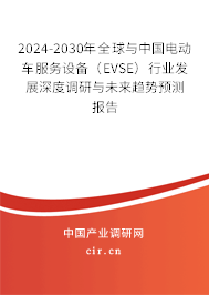2024-2030年全球與中國(guó)電動(dòng)車(chē)服務(wù)設(shè)備（EVSE）行業(yè)發(fā)展深度調(diào)研與未來(lái)趨勢(shì)預(yù)測(cè)報(bào)告